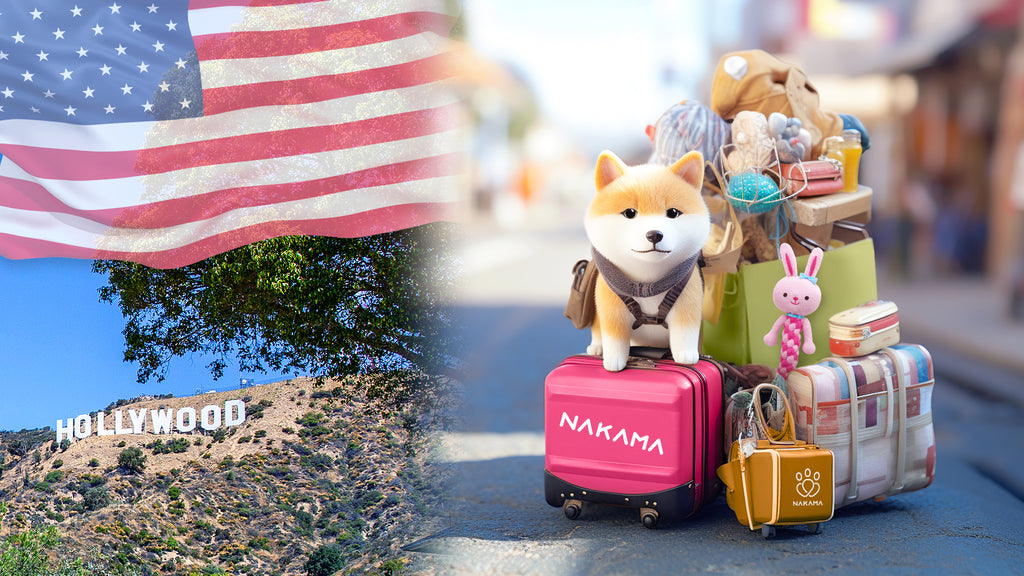 From Japan to Your Pet's Paws: Introducing the New HP of Premium Pet Supplies!